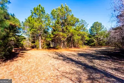 0 Crooked Road, Millen, GA 30442 - Photo 16