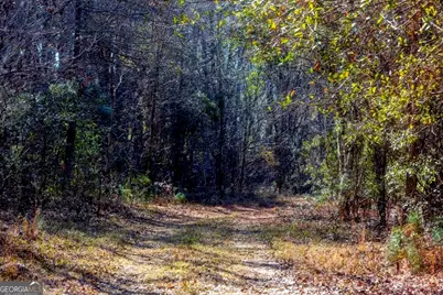0 Crooked Road, Millen, GA 30442 - Photo 18