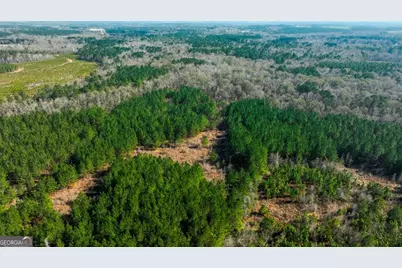 0 Crooked Road, Millen, GA 30442 - Photo 30