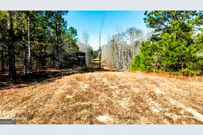 0 Crooked Road, Millen, GA 30442 - Photo 24