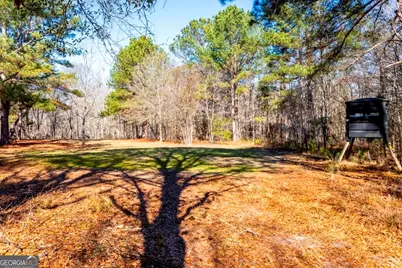 0 Crooked Road, Millen, GA 30442 - Photo 22