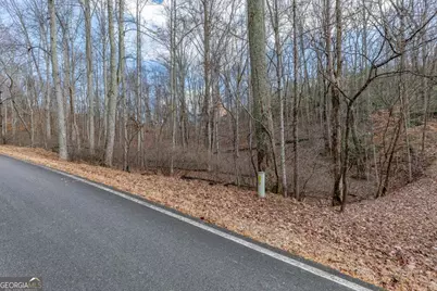 Lot 7 Squirrel Hunting Road, Morganton, GA 30560 - Photo 6