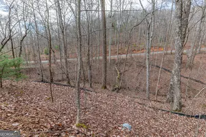 Lot 7 Squirrel Hunting Road, Morganton, GA 30560 - Photo 28