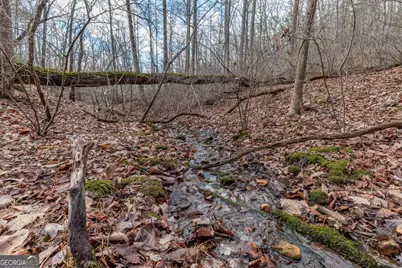 Lot 7 Squirrel Hunting Road, Morganton, GA 30560 - Photo 38
