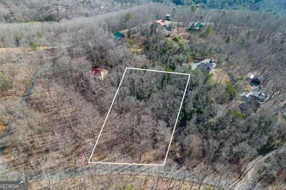 Lot 7 Squirrel Hunting Road, Morganton, GA 30560 - Photo 2