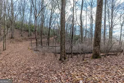 Lot 7 Squirrel Hunting Road, Morganton, GA 30560 - Photo 36