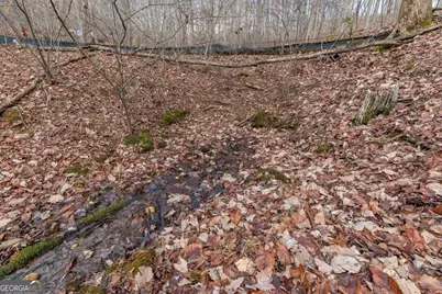 Lot 7 Squirrel Hunting Road, Morganton, GA 30560 - Photo 40