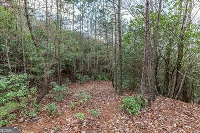 Lot 7 Squirrel Hunting Road, Morganton, GA 30560 - Photo 18