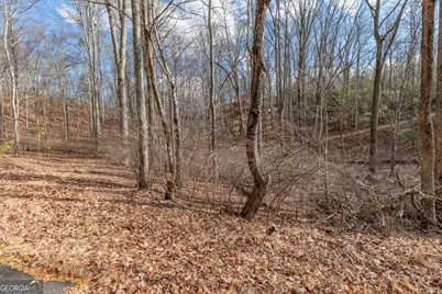 Lot 7 Squirrel Hunting Road, Morganton, GA 30560 - Photo 32