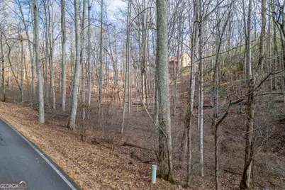 Lot 7 Squirrel Hunting Road, Morganton, GA 30560 - Photo 8