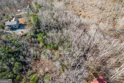 Lot 7 Squirrel Hunting Road, Morganton, GA 30560 - Photo 46