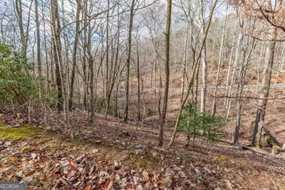 Lot 7 Squirrel Hunting Road, Morganton, GA 30560 - Photo 14
