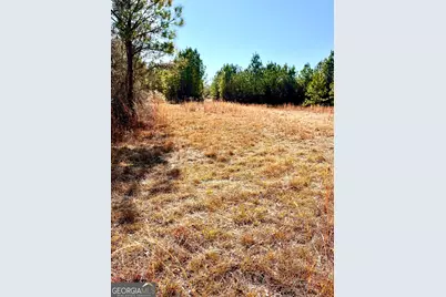 0 Lynntown Road, Collins, GA 30421 - Photo 2