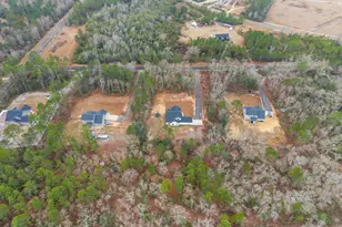 199 Flowers Spur Road NE, Ludowici, GA 31316 - Photo 32