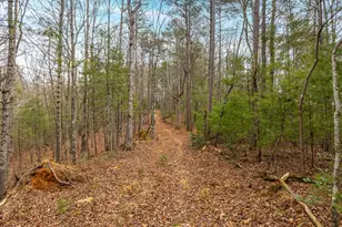 2641 Hwy 52 E, Ellijay, GA 30536 - Photo 36