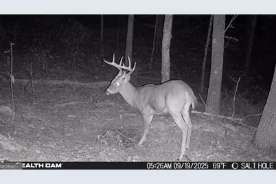 2641 Highway 52 E, Ellijay, GA 30536 - Photo 40