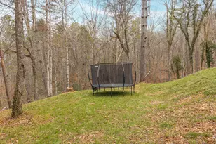 2641 Hwy 52 E, Ellijay, GA 30536 - Photo 32