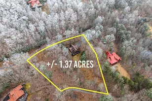 437 Spruce Cir, Mineral Bluff, GA 30559 - Photo 46