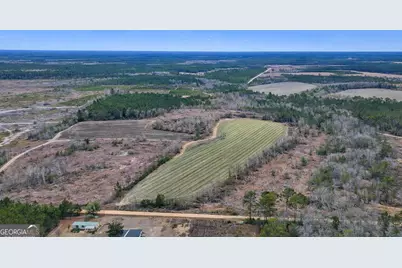 Tract 4 Reddish Road, Odum, GA 31555 - Photo 2
