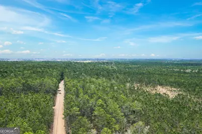 Tract 1 Wheaton Road, Odum, GA 31555 - Photo 2