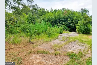 168 Peach Street, Haddock, GA 31033 - Photo 10