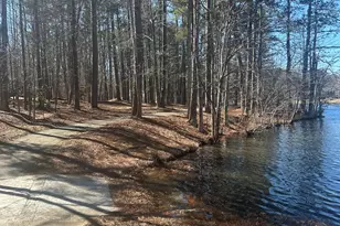 28 Border Point, Sharpsburg, GA 30277 - Photo 66