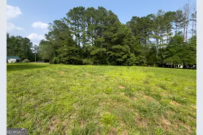 0 Howard Road, Senoia, GA 30276 - Photo 4