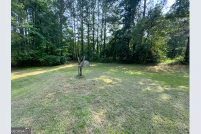 0 Howard Road, Senoia, GA 30276 - Photo 18