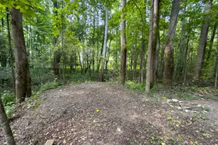 0 Howard Rd, Senoia, GA 30276 - Photo 12