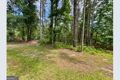 0 Howard Road, Senoia, GA 30276 - Photo 20