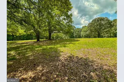 0 Howard Road, Senoia, GA 30276 - Photo 34