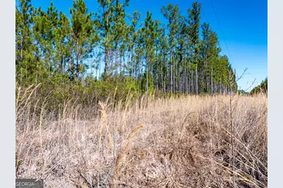 10.55 Acres McDonald Road N, Waycross, GA 31503 - Photo 4