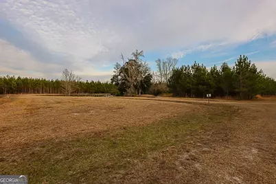 307 Chester Thomas Road, Springfield, GA 31329 - Photo 52