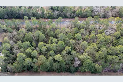 V/L 191 Sunrise Dr, Woodbine, GA 31569 - Photo 8
