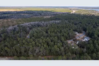 V/L 191 Sunrise Dr, Woodbine, GA 31569 - Photo 6