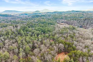 3 Ramblewood Dr, Sautee Nacoochee, GA 30571 - Photo 38