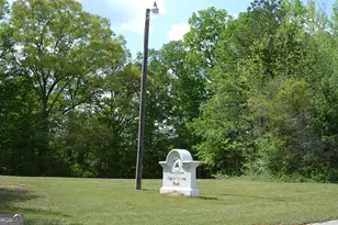 295 Handley Ct, Tyrone, GA 30290 - Photo 24