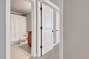 113 Waterlace Way, Fayetteville, GA 30215 - Photo 88