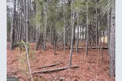 266 Old Yorkville Road, Dallas, GA 30157 - Photo 4