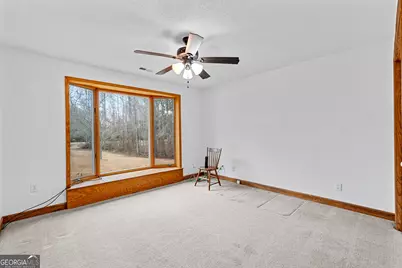 423 Woods Road, Brooks, GA 30205 - Photo 68