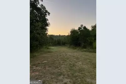 600 Hillview Road #TRACT 1, Hampton, GA 30228 - Photo 2