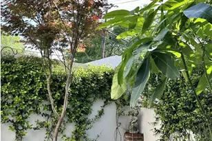 204 E Liberty St, Savannah, GA 31401 - Photo 34