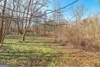 170 Mackey Road, McDonough, GA 30252 - Photo 10
