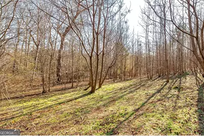 170 Mackey Road, McDonough, GA 30252 - Photo 12