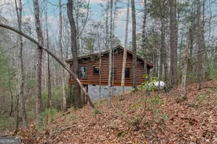 1165 Little Bushy Head Rd, Blue Ridge, GA 30513 - Photo 24