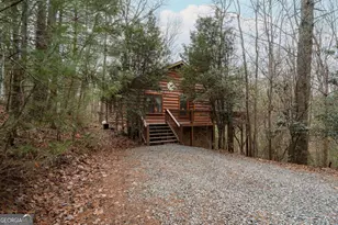 1165 Little Bushy Head Rd, Blue Ridge, GA 30513 - Photo 2