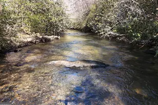 150 Donna Lee Ln, Mineral Bluff, GA 30559 - Photo 4