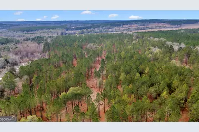 Truslow East New Hopewell Church Road, Jeffersonville, GA 31044 - Photo 24