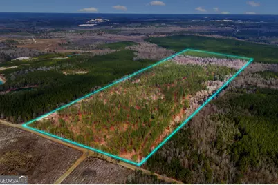 Truslow East New Hopewell Church Road, Jeffersonville, GA 31044 - Photo 1