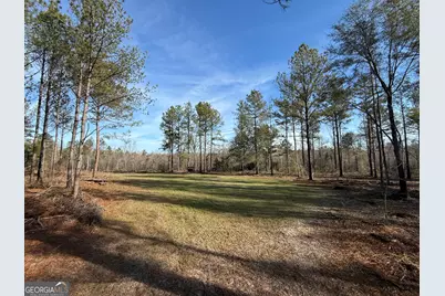 Truslow East New Hopewell Church Road, Jeffersonville, GA 31044 - Photo 8